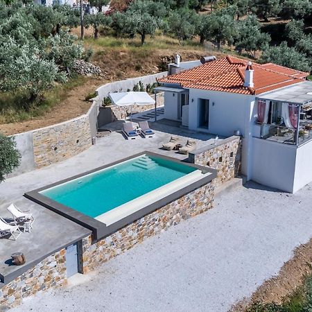 Ninemia Villa In Skopelos Extérieur photo