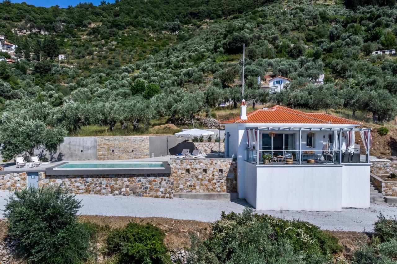Ninemia Villa In Skopelos Extérieur photo