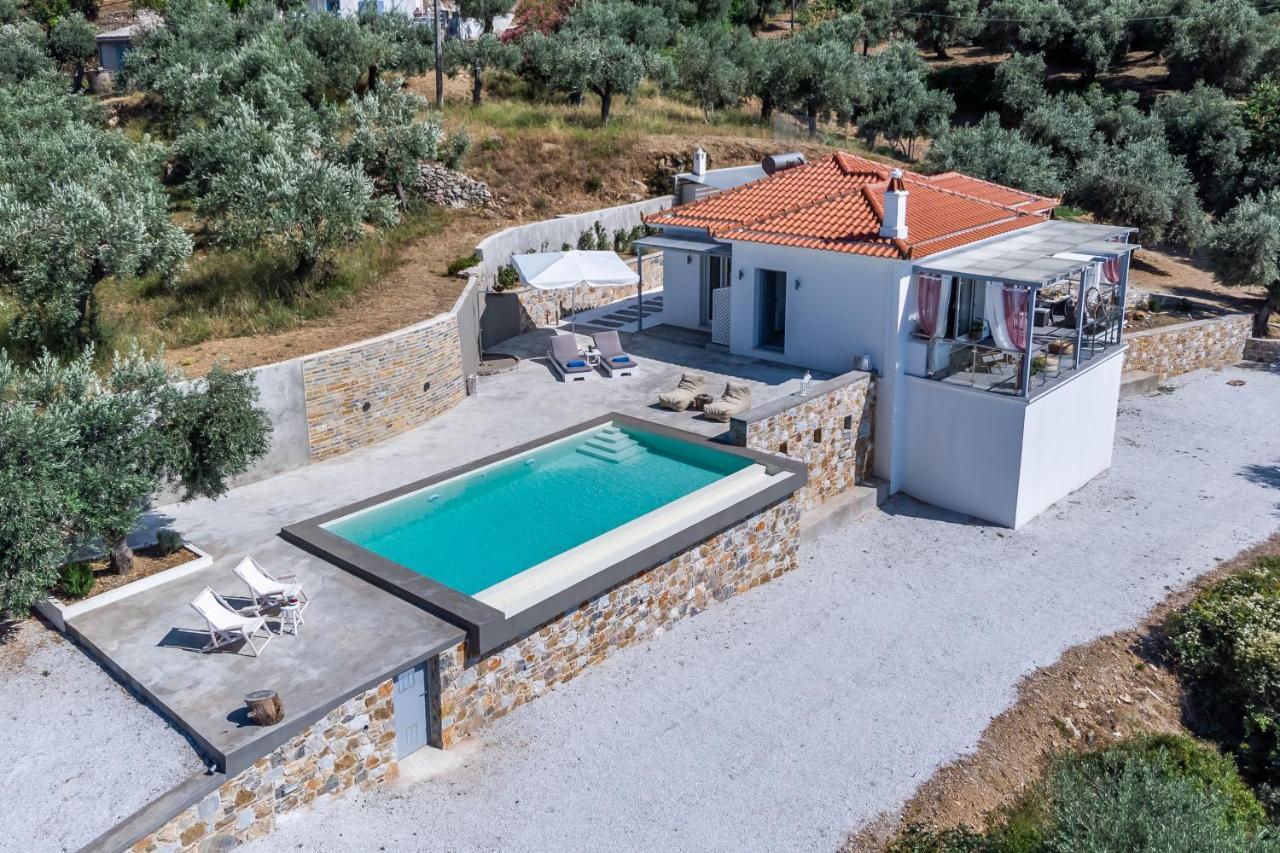 Ninemia Villa In Skopelos Extérieur photo